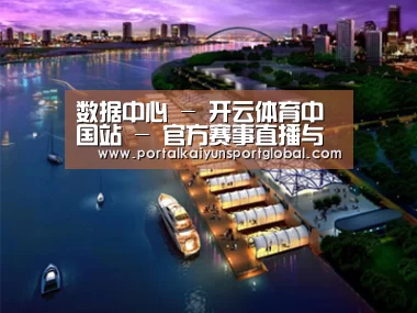 案例展示八(图1) 案例展示八(图1)