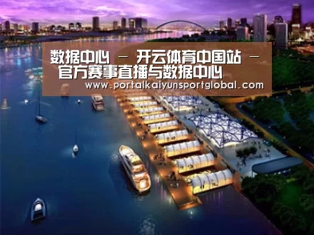 案例展示八