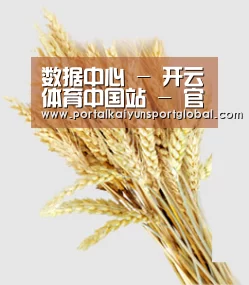 数据中心 - 开云体育中国站 - 官方赛事直播与数据中心