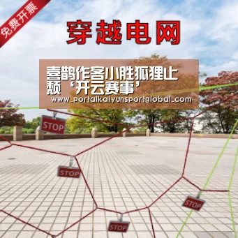喜鹊作客小胜狐狸止颓‘开云赛事’(图1) 开云体育直播