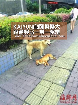 KAIYUN官网|条条大路通罗马一带一路是捷径(图1) KAIYUN官网