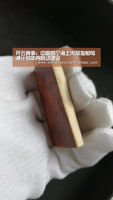 开云赛事:中国首个海上火箭发射母港计划年内启动建设(图2) 开云赛事