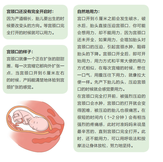 15日西甲推荐:埃瓦尔VS西班牙人“KAIYUN官网”(图4) 开云赛事