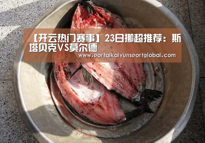 【开云热门赛事】23日挪超推荐:斯塔贝克VS莫尔德(图1) 开云热门赛事