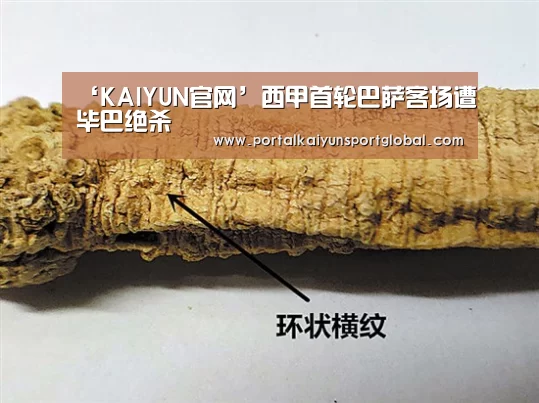 ‘KAIYUN官网’西甲首轮巴萨客场遭毕巴绝杀(图1) 开云体育直播